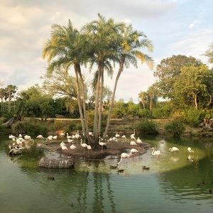 Meet your Posher, Gia